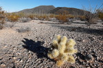 photo thumbnail #8