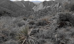 photo thumbnail #2