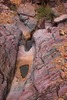 photo thumbnail #11