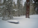 photo thumbnail #1