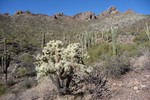 photo thumbnail #4