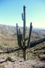 photo thumbnail #14