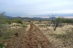 photo thumbnail #2