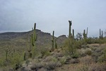 photo thumbnail #7