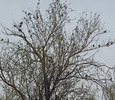 photo thumbnail #13
