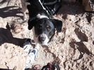 photo thumbnail #9