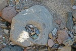 photo thumbnail #11