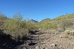 photo thumbnail #12