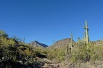 photo thumbnail #13