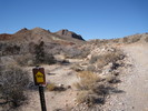 photo thumbnail #1