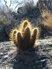 photo thumbnail #2