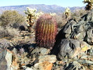 photo thumbnail #5