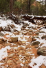 photo thumbnail #1