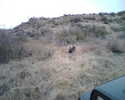photo thumbnail #1