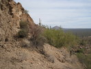 photo thumbnail #5