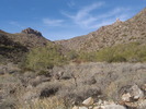photo thumbnail #2