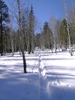 photo thumbnail #3