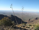 photo thumbnail #10