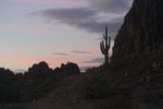 photo thumbnail #7