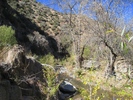 photo thumbnail #8