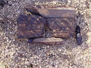 photo thumbnail #6