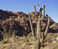 photo thumbnail #7