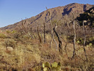 photo thumbnail #9