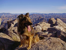 photo thumbnail #1