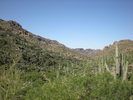 recent photo