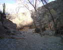 photo thumbnail #5
