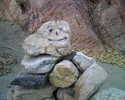 photo thumbnail #7