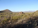 photo thumbnail #1