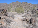 photo thumbnail #2
