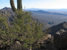 photo thumbnail #9