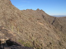 photo thumbnail #10