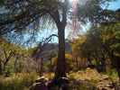 photo thumbnail #1