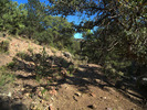photo thumbnail #8