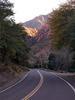 photo thumbnail #13