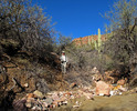 photo thumbnail #7