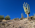 photo thumbnail #10