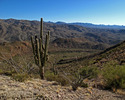photo thumbnail #11