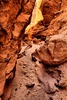 photo thumbnail #5