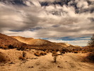photo thumbnail #6
