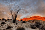 photo thumbnail #8