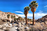 photo thumbnail #10