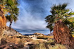 photo thumbnail #13