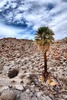 photo thumbnail #14