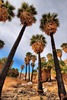 photo thumbnail #15
