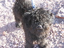 photo thumbnail #5