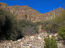 photo thumbnail #2